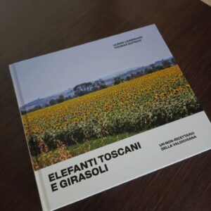 ELEFANTI TOSCANI e GIRASOLI TOSKANISCHE ELEFANTEN UND SONNEBLUMEN - immagine 2