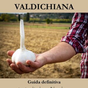 Libro: AGLIONE della VALDICHIANA Guida definitiva...